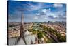 View on Paris from Notre Dame, France-sborisov-Stretched Canvas