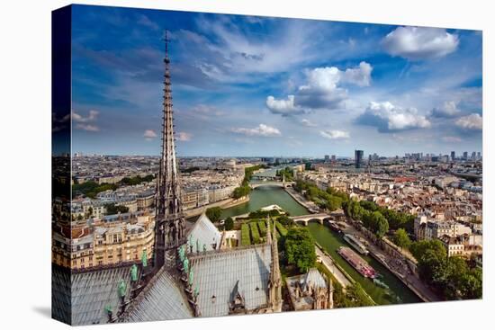 View on Paris from Notre Dame, France-sborisov-Stretched Canvas