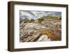 View on Sgurr Nan Gillean, Am Basteir and Sgurr a Bhasteir from Sligachan River, Isle of Skye, Scot-Nataliya Hora-Framed Photographic Print