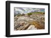 View on Sgurr Nan Gillean, Am Basteir and Sgurr a Bhasteir from Sligachan River, Isle of Skye, Scot-Nataliya Hora-Framed Photographic Print