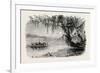 View on the Ashley River, USA, 1870S-null-Framed Giclee Print