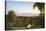View on the Catskill - Early Autumn-Thomas Cole-Stretched Canvas