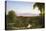 View on the Catskill - Early Autumn-Thomas Cole-Stretched Canvas