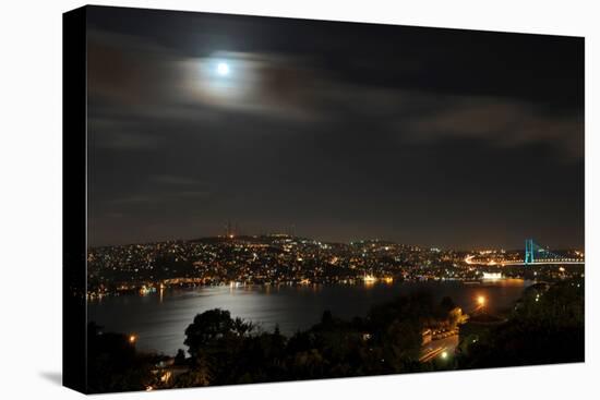 View on the City of Istanbul in Turkey-null-Stretched Canvas