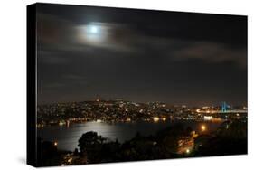 View on the City of Istanbul in Turkey-null-Stretched Canvas