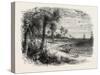 View on the Coast of Florida, USA, 1870s-null-Stretched Canvas