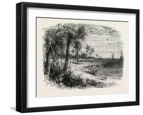 View on the Coast of Florida, USA, 1870s-null-Framed Giclee Print