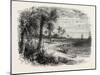 View on the Coast of Florida, USA, 1870s-null-Mounted Giclee Print