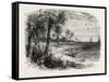 View on the Coast of Florida, USA, 1870s-null-Framed Stretched Canvas