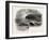 View on the Coast of Maine, USA, 1870s-null-Framed Giclee Print