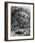 View on the Dodinga River, New Guinea, 1877-null-Framed Giclee Print