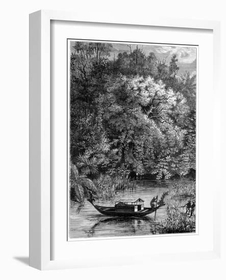 View on the Dodinga River, New Guinea, 1877-null-Framed Giclee Print