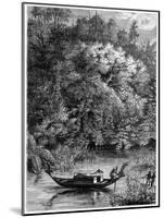 View on the Dodinga River, New Guinea, 1877-null-Mounted Giclee Print