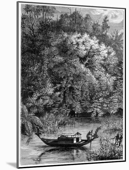 View on the Dodinga River, New Guinea, 1877-null-Mounted Giclee Print