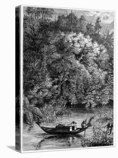 View on the Dodinga River, New Guinea, 1877-null-Stretched Canvas