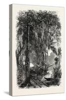 View on the Panama Railroad, Panama, 1870s-null-Stretched Canvas