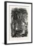 View on the Panama Railroad, Panama, 1870s-null-Framed Giclee Print