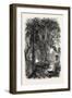 View on the Panama Railroad, Panama, 1870s-null-Framed Giclee Print