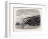 View on the Potomac Below Washington, USA, 1870s-null-Framed Giclee Print