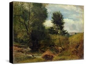 View on the River Sid, Near Sidmouth, C.1852-Lionel Constable-Stretched Canvas