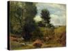 View on the River Sid, Near Sidmouth, C.1852-Lionel Constable-Stretched Canvas