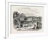 View on Waitera River, North Bank, New Zealand, 1851-null-Framed Giclee Print