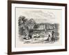 View on Waitera River, North Bank, New Zealand, 1851-null-Framed Giclee Print