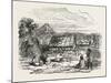 View on Waitera River, North Bank, New Zealand, 1851-null-Mounted Giclee Print