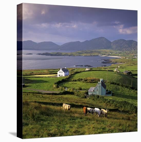 View over Allihies and Ballydonegan Bay, Beara Peninsula, County Cork, Munster, Republic of Ireland-Stuart Black-Stretched Canvas