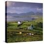 View over Allihies and Ballydonegan Bay, Beara Peninsula, County Cork, Munster, Republic of Ireland-Stuart Black-Stretched Canvas