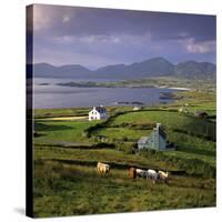 View over Allihies and Ballydonegan Bay, Beara Peninsula, County Cork, Munster, Republic of Ireland-Stuart Black-Stretched Canvas