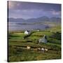 View over Allihies and Ballydonegan Bay, Beara Peninsula, County Cork, Munster, Republic of Ireland-Stuart Black-Stretched Canvas