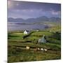 View over Allihies and Ballydonegan Bay, Beara Peninsula, County Cork, Munster, Republic of Ireland-Stuart Black-Mounted Premium Photographic Print