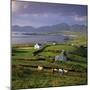 View over Allihies and Ballydonegan Bay, Beara Peninsula, County Cork, Munster, Republic of Ireland-Stuart Black-Mounted Photographic Print