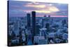 View over Bangkok at Sunset from the Vertigo Bar on the Roof the Banyan Tree Hotel-Lee Frost-Stretched Canvas