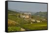 View over Barolo Village and Vineyards, Langhe, Cuneo District, Piedmont, Italy, Europe-Yadid Levy-Framed Stretched Canvas