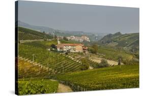 View over Barolo Village and Vineyards, Langhe, Cuneo District, Piedmont, Italy, Europe-Yadid Levy-Stretched Canvas