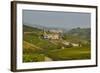 View over Barolo Village and Vineyards, Langhe, Cuneo District, Piedmont, Italy, Europe-Yadid Levy-Framed Photographic Print