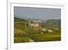 View over Barolo Village and Vineyards, Langhe, Cuneo District, Piedmont, Italy, Europe-Yadid Levy-Framed Photographic Print