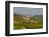 View over Barolo Village and Vineyards, Langhe, Cuneo District, Piedmont, Italy, Europe-Yadid Levy-Framed Photographic Print