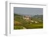 View over Barolo Village and Vineyards, Langhe, Cuneo District, Piedmont, Italy, Europe-Yadid Levy-Framed Photographic Print