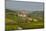 View over Barolo Village and Vineyards, Langhe, Cuneo District, Piedmont, Italy, Europe-Yadid Levy-Mounted Photographic Print