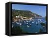 View over Bay, Aiguablava, Near Begur, Costa Brava, Catalonia, Spain, Mediterranean, Europe-Stuart Black-Framed Stretched Canvas