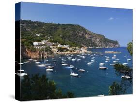 View over Bay, Aiguablava, Near Begur, Costa Brava, Catalonia, Spain, Mediterranean, Europe-Stuart Black-Stretched Canvas