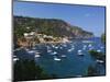 View over Bay, Aiguablava, Near Begur, Costa Brava, Catalonia, Spain, Mediterranean, Europe-Stuart Black-Mounted Photographic Print