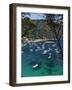 View over Bay, Aiguablava, Near Begur, Costa Brava, Catalonia, Spain, Mediterranean, Europe-Stuart Black-Framed Photographic Print