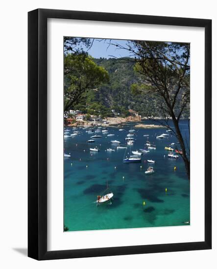 View over Bay, Aiguablava, Near Begur, Costa Brava, Catalonia, Spain, Mediterranean, Europe-Stuart Black-Framed Photographic Print