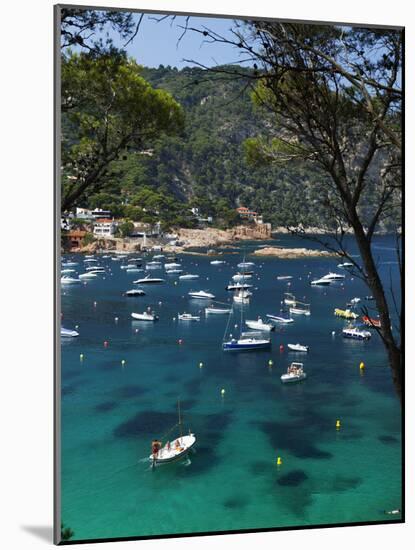 View over Bay, Aiguablava, Near Begur, Costa Brava, Catalonia, Spain, Mediterranean, Europe-Stuart Black-Mounted Photographic Print