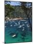 View over Bay, Aiguablava, Near Begur, Costa Brava, Catalonia, Spain, Mediterranean, Europe-Stuart Black-Mounted Photographic Print