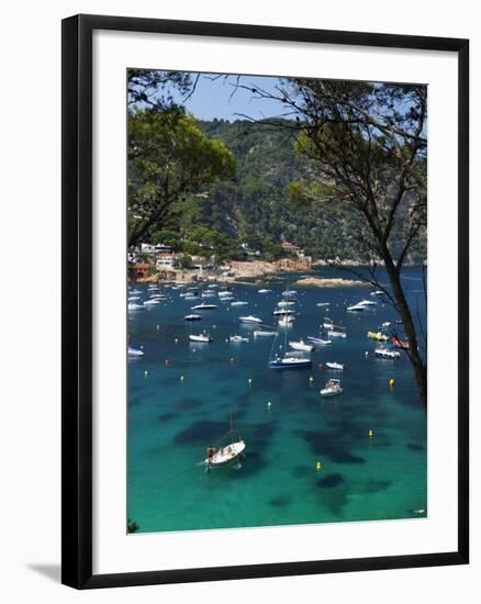 View over Bay, Aiguablava, Near Begur, Costa Brava, Catalonia, Spain, Mediterranean, Europe-Stuart Black-Framed Photographic Print